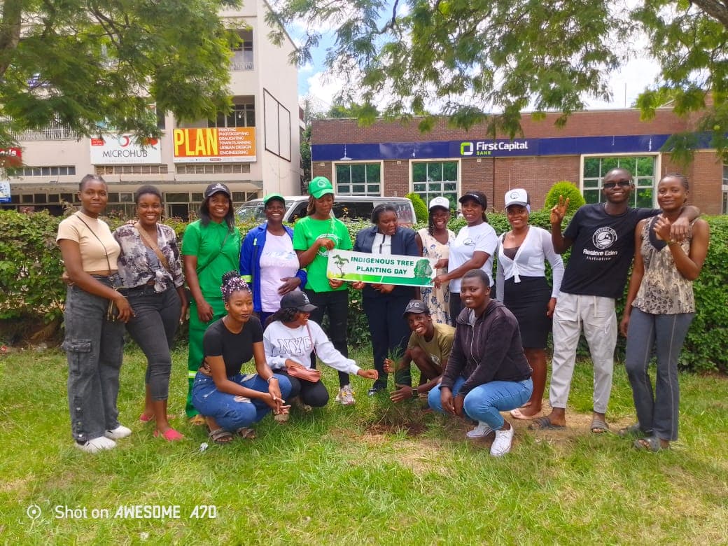 Indigenous tree planting day